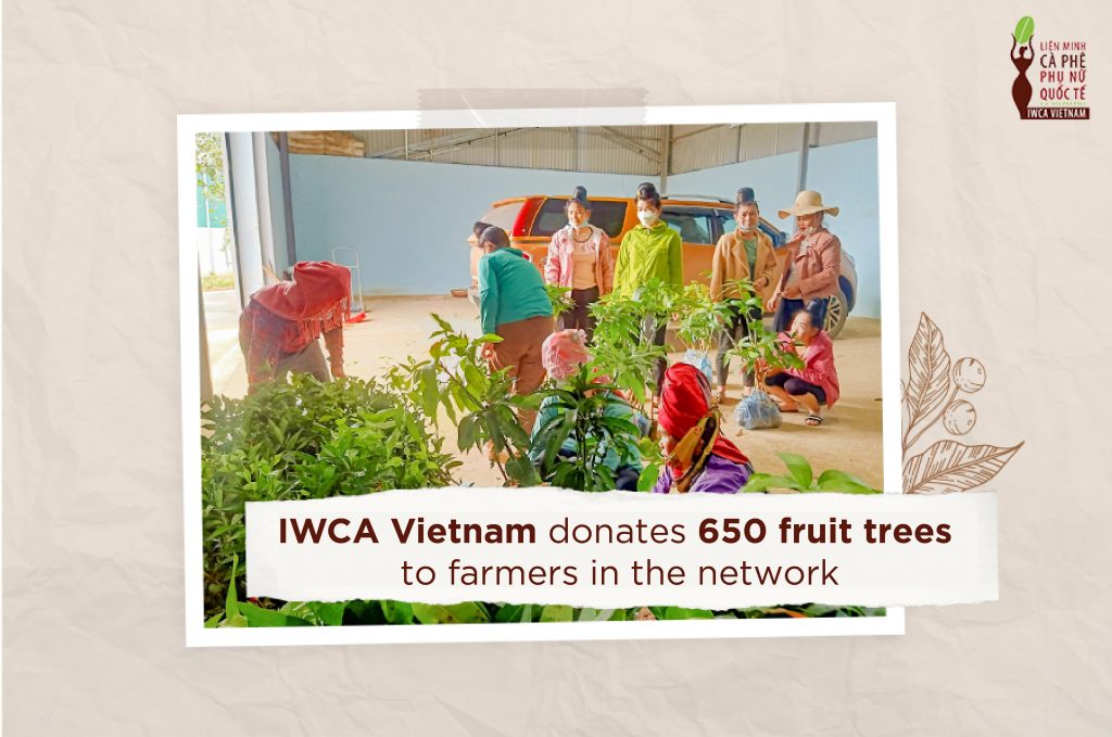 IWCA VIETNAM gives fruit trees to farmers in the NETWORK