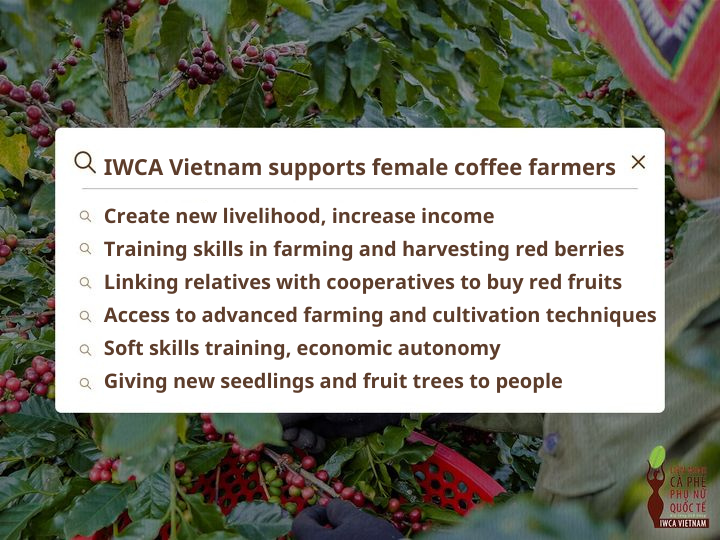 IWCA Vietnam non profit social interprise for women
