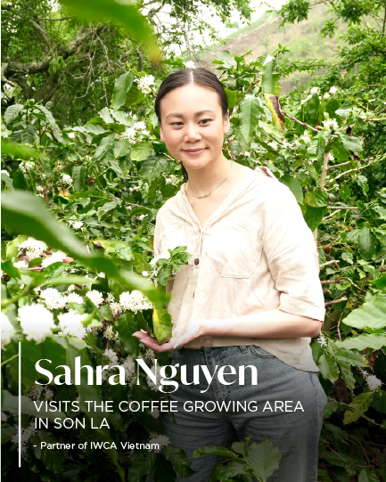 MS. SARAH NGUYEN: PARTNER OF IWCA VIETNAM VISITS THE COFFEE GROWING AREA IN SON LA